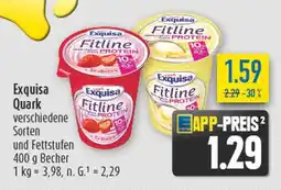 diska Exquisa fitline protein erdbeer Angebot