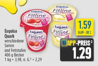 diska Exquisa fitline protein erdbeer Angebot