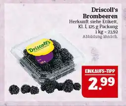 Marktkauf Driscoll's brombeeren Angebot