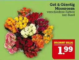 Marktkauf Gut & günstig moosrosen Angebot