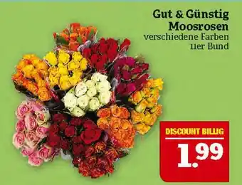 Marktkauf Gut & günstig moosrosen Angebot