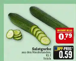 Marktkauf Salatgurke Angebot