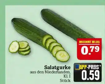 Marktkauf Salatgurke Angebot