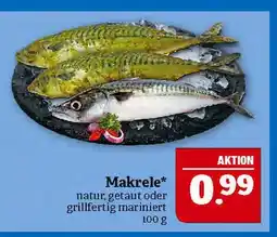 Marktkauf Makrele Angebot