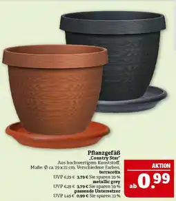 Marktkauf Country star pflanzgefäß Angebot