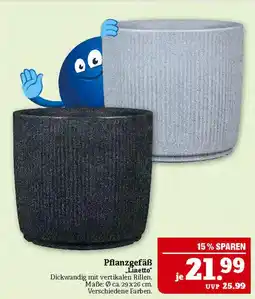 Marktkauf Pflanzgefäß linetto Angebot
