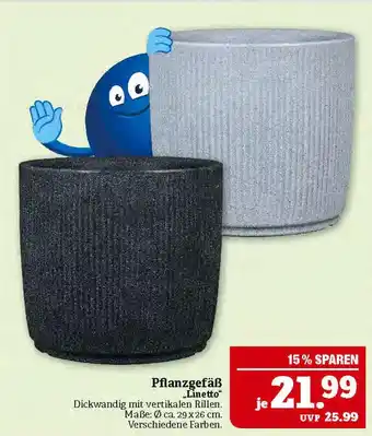Marktkauf Pflanzgefäß linetto Angebot