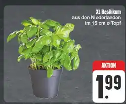Edeka Xl basilikum Angebot
