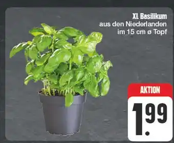 Edeka Xl basilikum Angebot