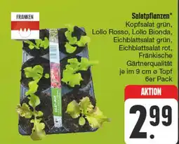 Edeka Franken salatpflanzen Angebot