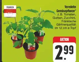 Edeka Franken veredelte gemüsepflanze Angebot