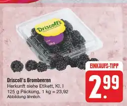 Edeka Driscoll's brombeeren Angebot
