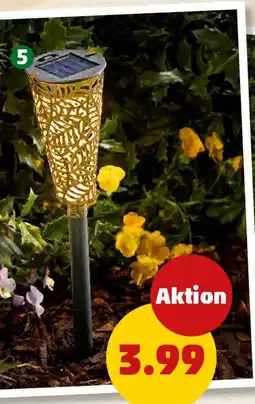 PENNY Solarstecker ROST Angebot
