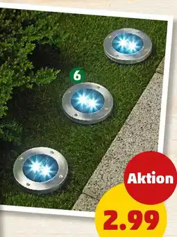 PENNY Solar-Weg und Beet-Beleuchtung Angebot