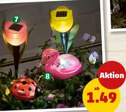 PENNY Solarstecker TULPE Angebot