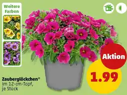 PENNY Zauberglöckchen Angebot