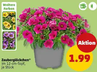 PENNY Zauberglöckchen Angebot
