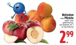 Edeka Nektarinen oder Pfirsiche Angebot