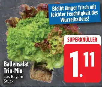 Edeka Ballensalat Trio-Mix Angebot