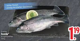 Edeka Frische Forelle Angebot