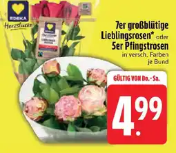 Edeka 7er großblütige Lieblingsrosen* oder 5er Pfingstrosen Angebot