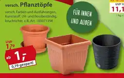 Sonderpreis Baumarkt versch. Pflanztöpfe Angebot
