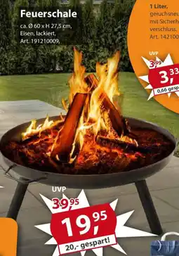 Sonderpreis Baumarkt Feuerschale Angebot