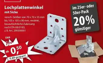 Sonderpreis Baumarkt Lochplattenwinkel mit Sicke Angebot