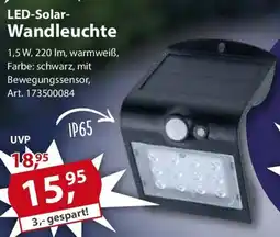 Sonderpreis Baumarkt LED-Solar- Wandleuchte Angebot