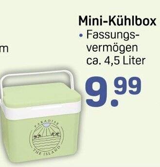Mini-Kühlbox Angebot bei Rossmann