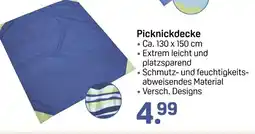 Rossmann Picknickdecke Angebot