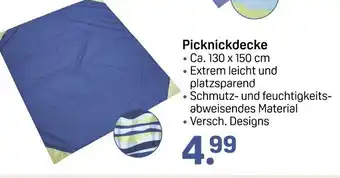 Rossmann Picknickdecke Angebot