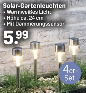 Rossmann Solar-Gartenleuchten Angebot