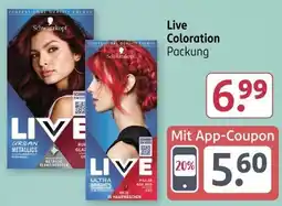 Rossmann Live Coloration Angebot