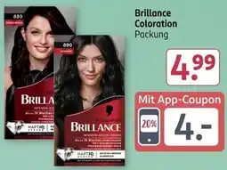 Rossmann Brillance Coloration Angebot