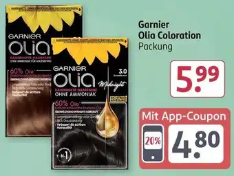 Rossmann Garnier Olia Coloration Angebot
