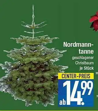 E-Center Nordmanntanne Angebot