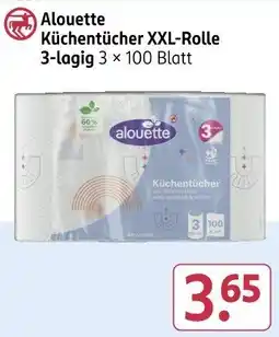 Rossmann Alouette Küchentücher XXL-Rolle Angebot