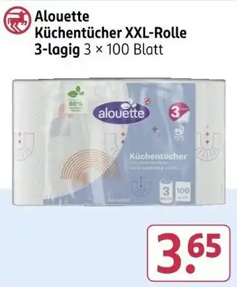 Rossmann Alouette Küchentücher XXL-Rolle Angebot