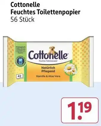 Rossmann Cottonelle Feuchtes Toilettenpapier Angebot