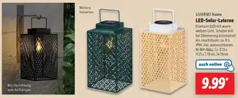 Lidl LIVARNO home LED-Solar Laterne Angebot