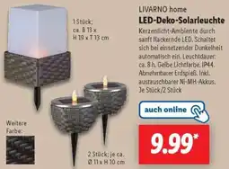 Lidl LIVARNO home LED-Deko-Solarleuchte Angebot