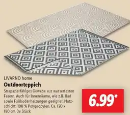 Lidl LIVARNO home Outdoorteppich Angebot