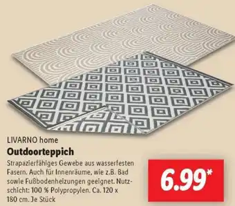 Lidl LIVARNO home Outdoorteppich Angebot