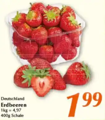 inkoop Deutschland Erdbeeren Angebot
