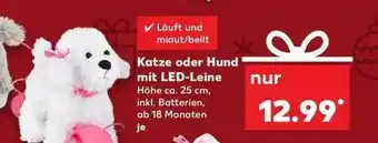 Kaufland Katze Oder Hund Mit Led-leine Angebot