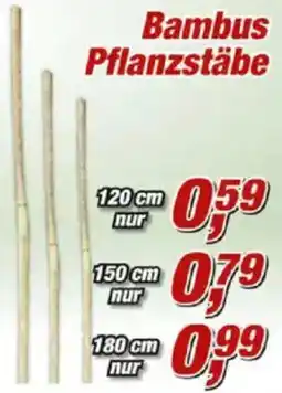 Posten Börse Bambus Pflanzstäbe Angebot