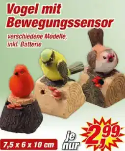 Posten Börse Vogel mit Bewegungssensor Angebot