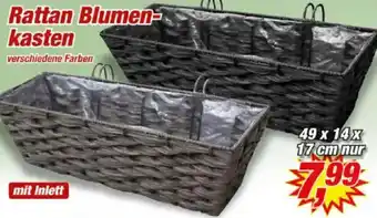 Posten Börse Rattan Blumenkasten Angebot