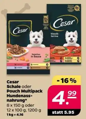 NETTO Cesar Schale oder Pouch Multipack Hundenassnahrung Angebot